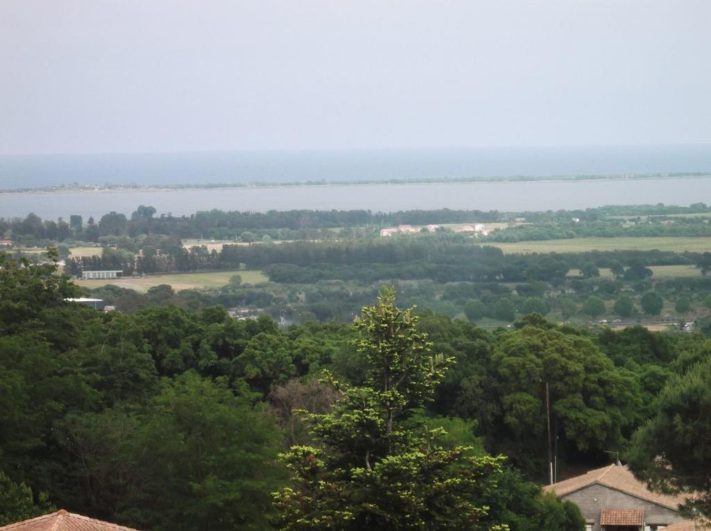 Apartment Luccisano Borgo (Corsica)