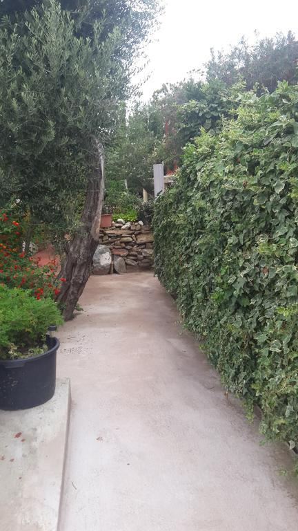 Luccisano * Borgo (Corsica)