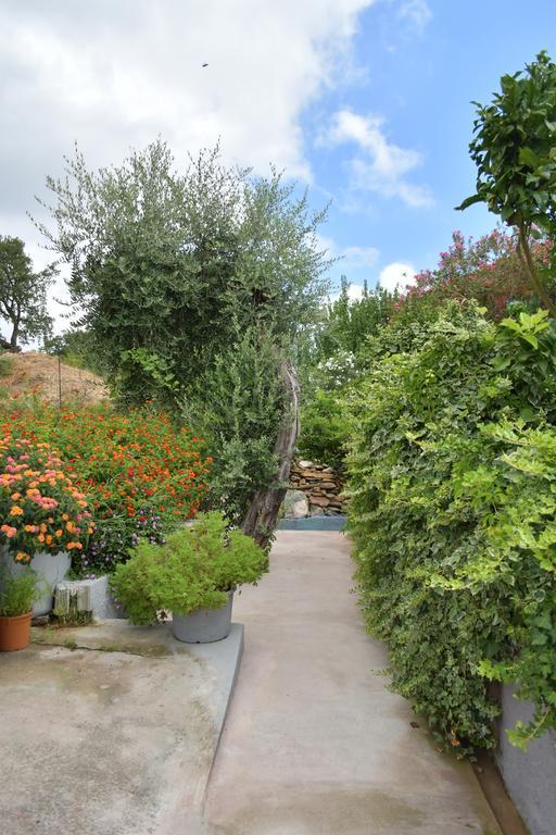 Luccisano Apartment